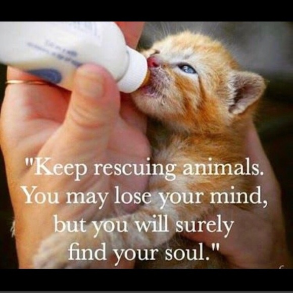 Meet your Posher, Brenda - Picture 7 of 13